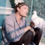 Amour et pigeons cine-club france russie cei nantes