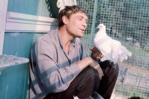 Amour et pigeons cine-club france russie cei nantes