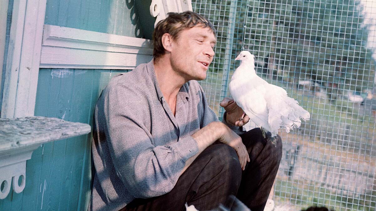 AMOUR ET PIGEONS – Ciné club – samedi 11 octobre à 15h